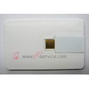 Plain Card USB Disk