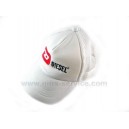 Promotional Embroidera Caps